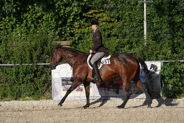 sA9K05953.JPG